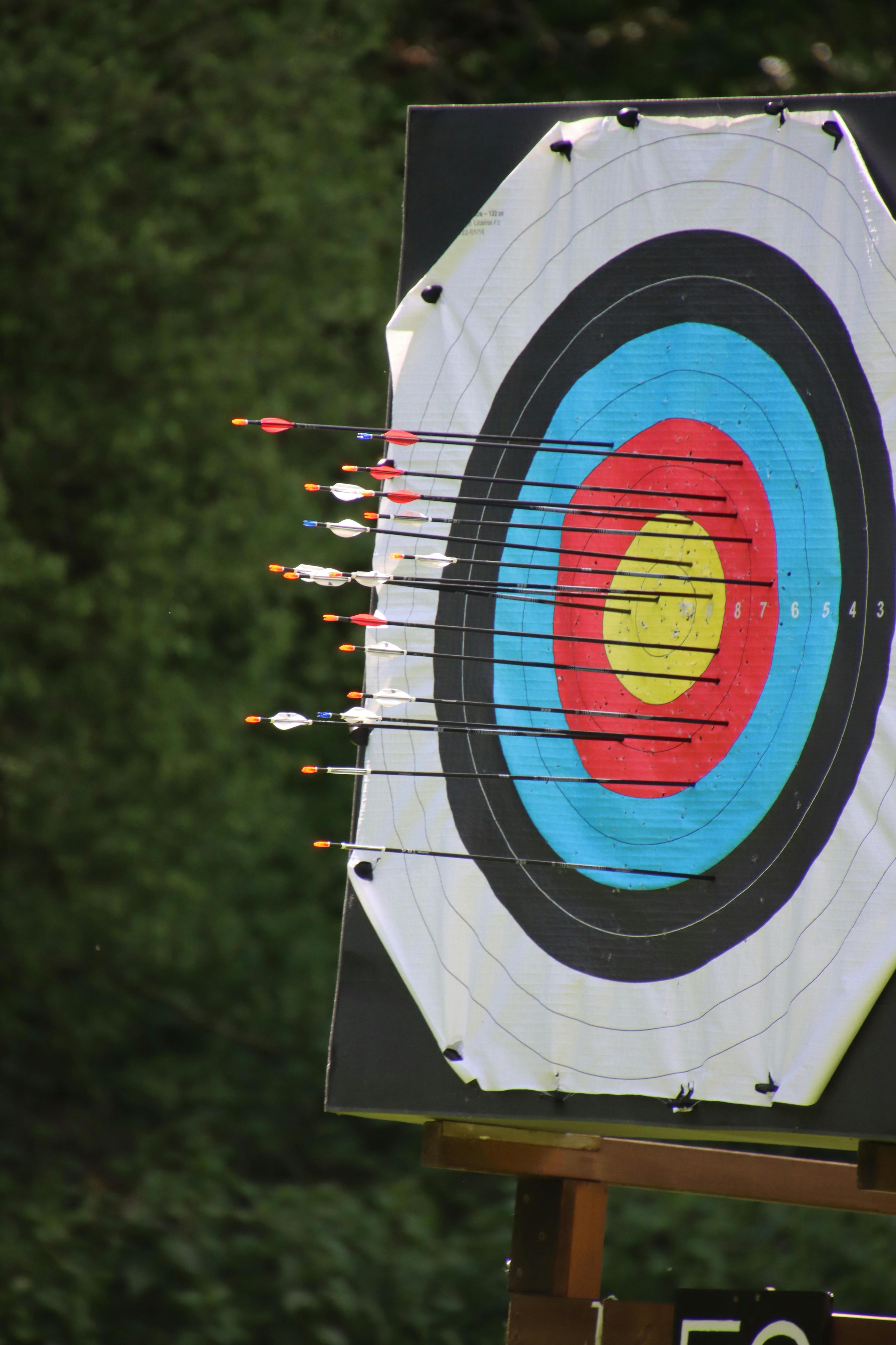 A drawn bow aimed at a distant target